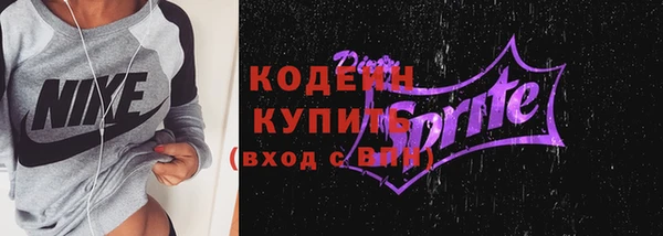 прущие грибы Новозыбков