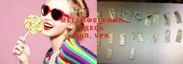 прущие грибы Новозыбков