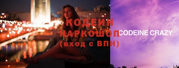 шишки Абаза