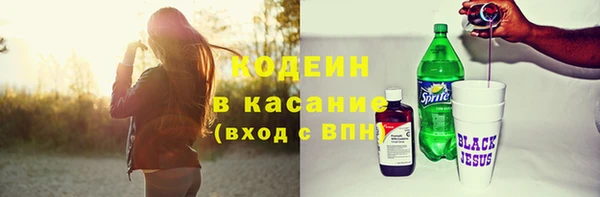 прущие грибы Новозыбков