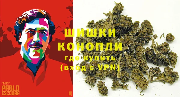 шишки Абаза