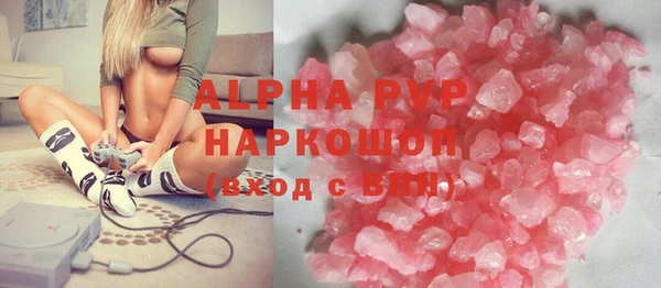 прущие грибы Новозыбков
