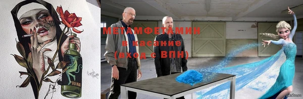 шишки Абаза