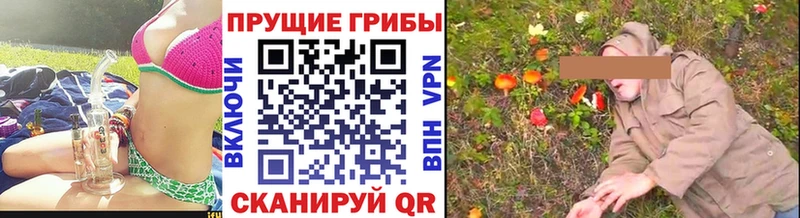наркотики  kraken вход  Галлюциногенные грибы мухоморы  Екатеринбург 
