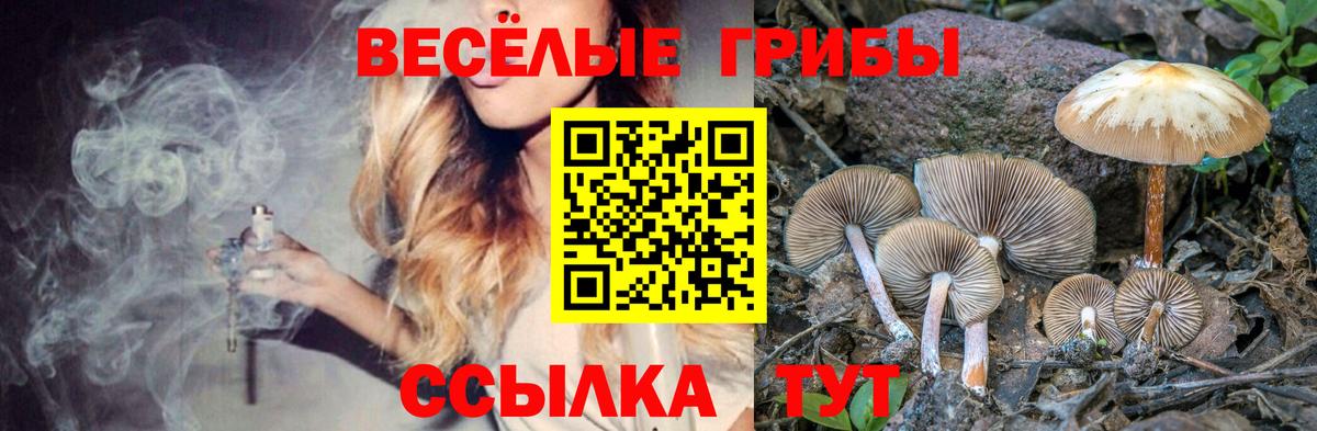 Екатеринбург  цена наркотик  Вход с VPN  Псилоцибиновые грибы Psilocybe 